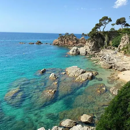 Roulotte En Bois Sud France *