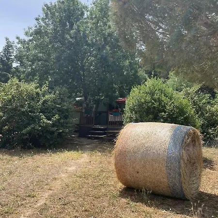 Roulotte En Bois Sud France *