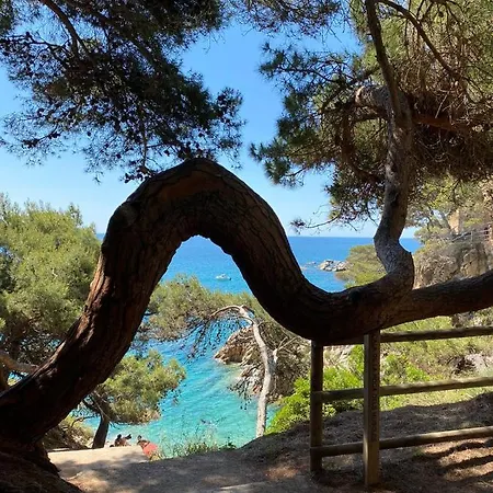 Roulotte En Bois Sud France Le Soler