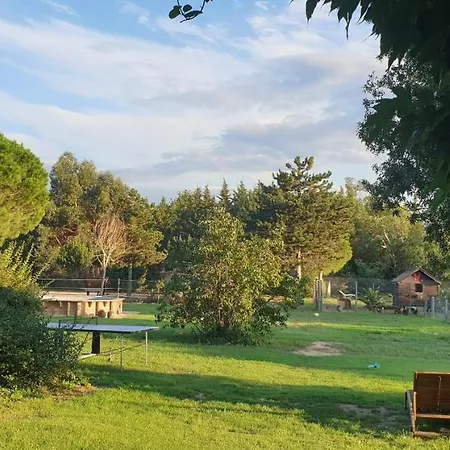 Roulotte En Bois Sud France Casa di campagna *