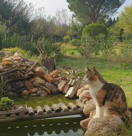 Roulotte En Bois Sud France