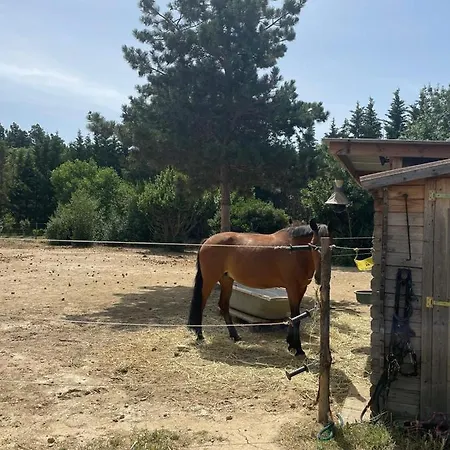 Roulotte En Bois Sud France Le Soler