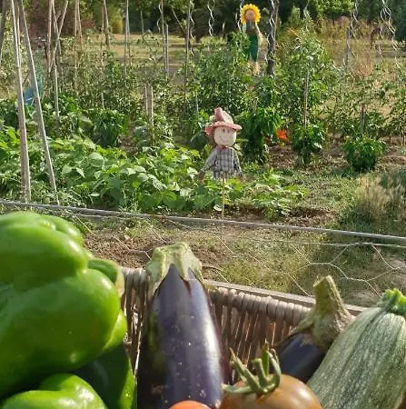 Roulotte En Bois Sud France *