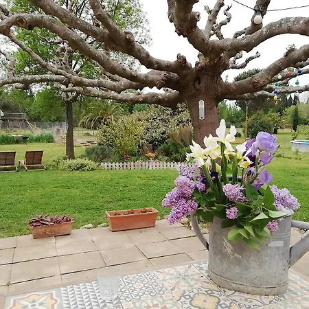 Roulotte En Bois Sud France 乡村民宿