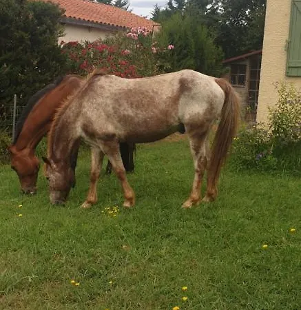Roulotte En Bois Sud France 乡村民宿