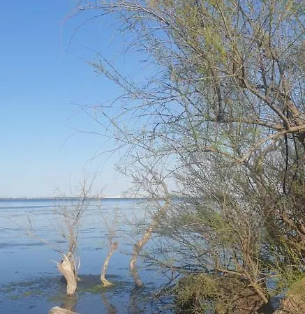 Roulotte En Bois Sud France Venkovský dům