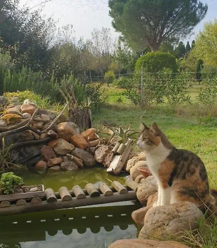 Roulotte En Bois Sud France