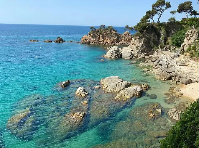 Roulotte En Bois Sud France *