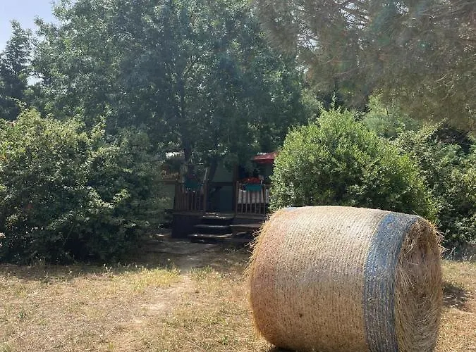 Roulotte En Bois Sud France *