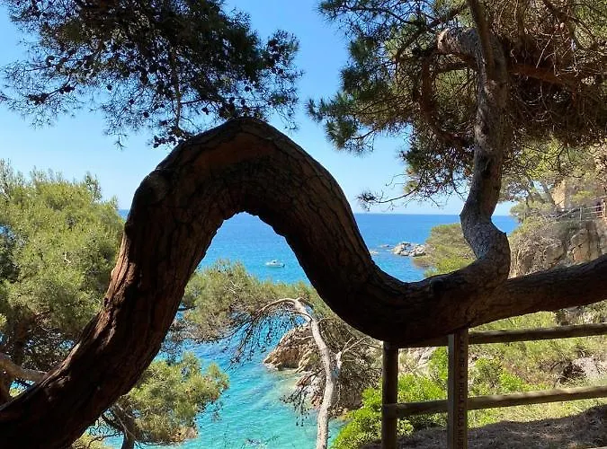 Roulotte En Bois Sud France Le Soler