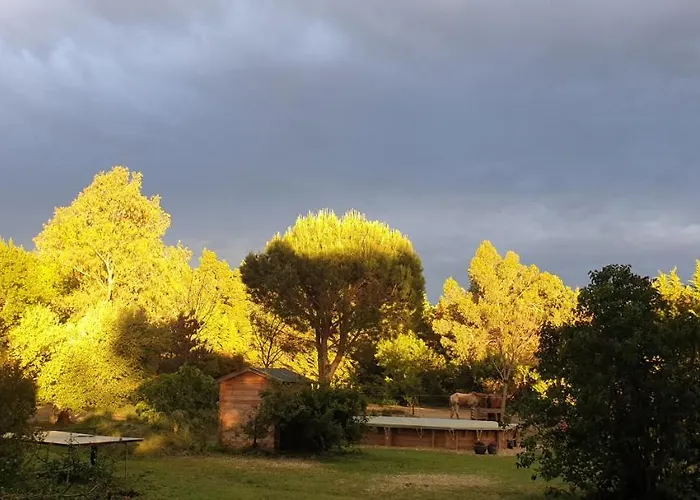 Roulotte En Bois Sud France *