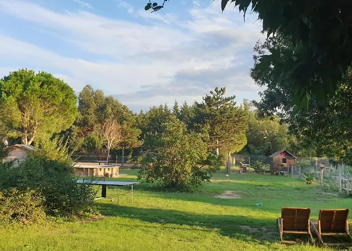 Roulotte En Bois Sud France Landsted *
