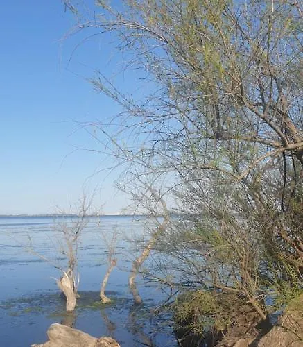 Roulotte En Bois Sud France Landsted
